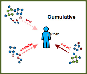 Cumulative