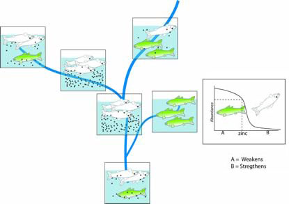 Figure 4-1 This illustrations shows the stressor-response relationships from other field studies.