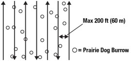 transect layout