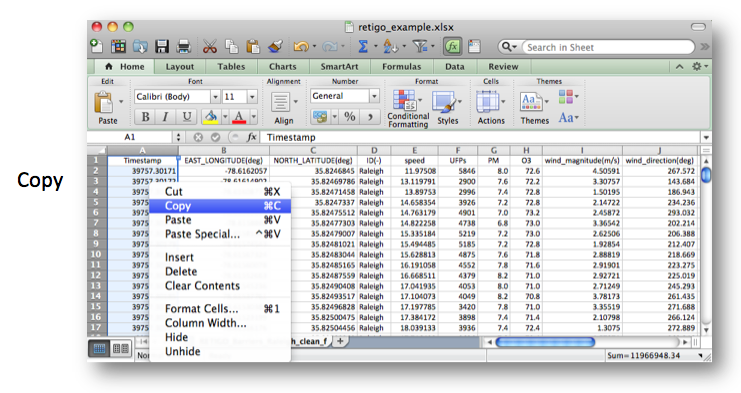 Image displaying copy function in Excel