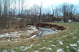 Photo of a stream at the edge of a forest of deciduous trees and a grass field illustrating an example of riparian devegetation.