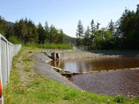 Photo of a pond with a net across it and trees along the back.