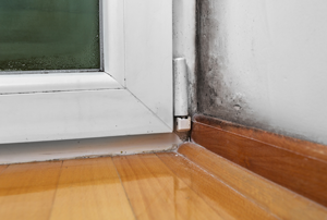 Moisture and mold -Problems in a house