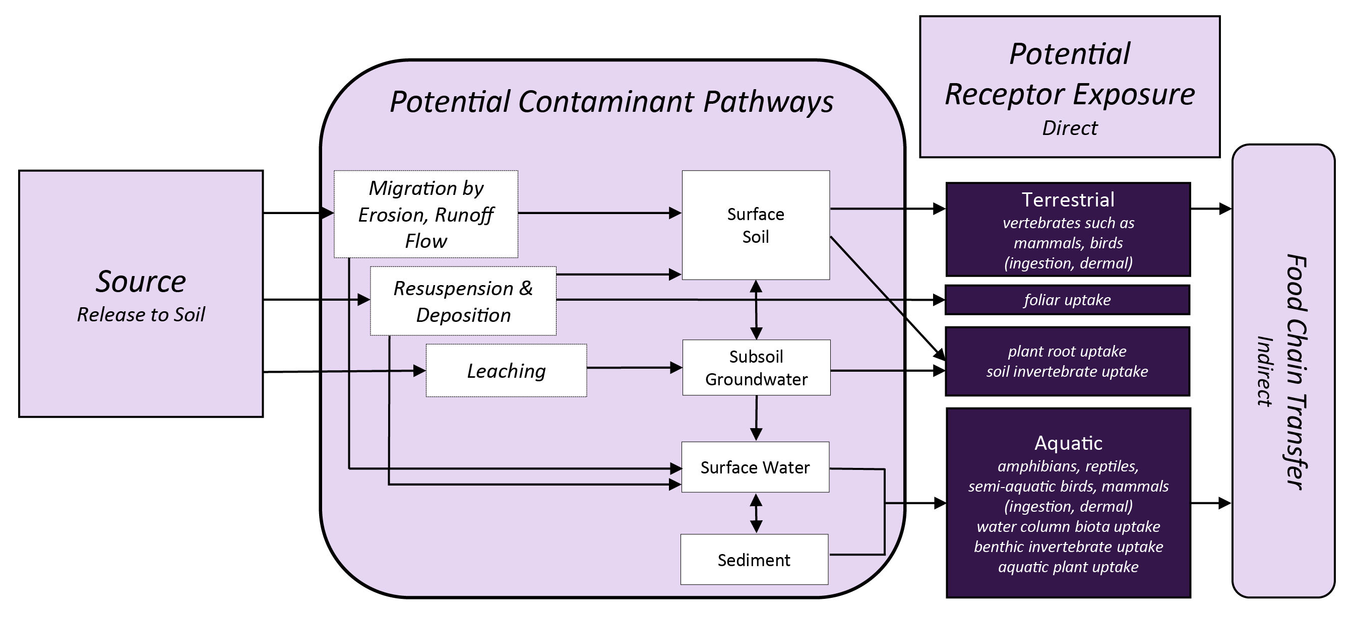 Potential exposure pathways and ecological receptors