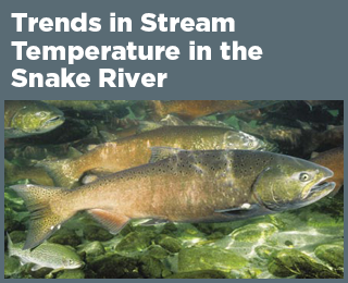 Water Temperature in the Snake River