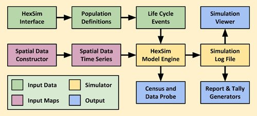 HexSim Model Structure