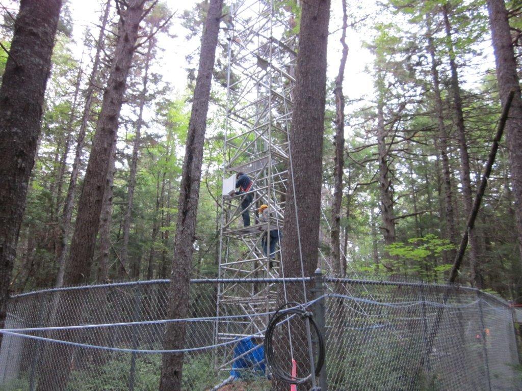 Installation of sampling apparatus on the site tower