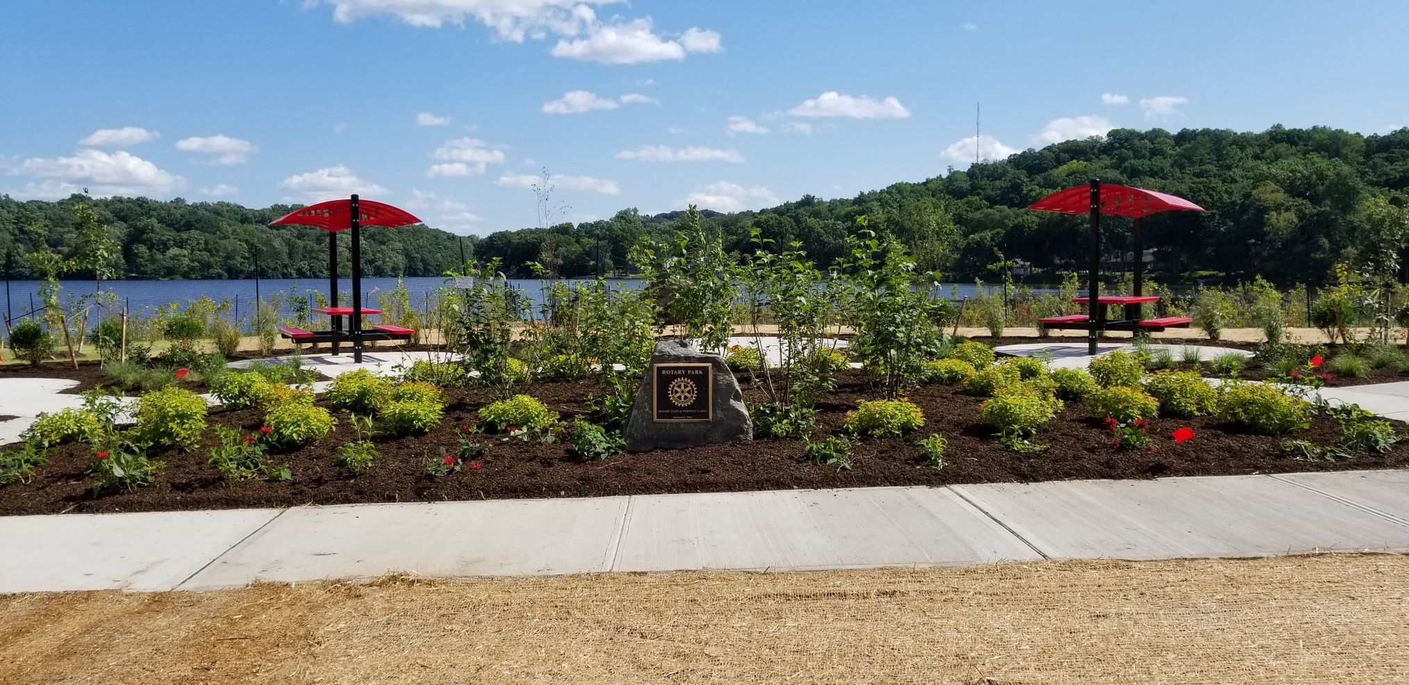 Newly Installed Benches and Plantings