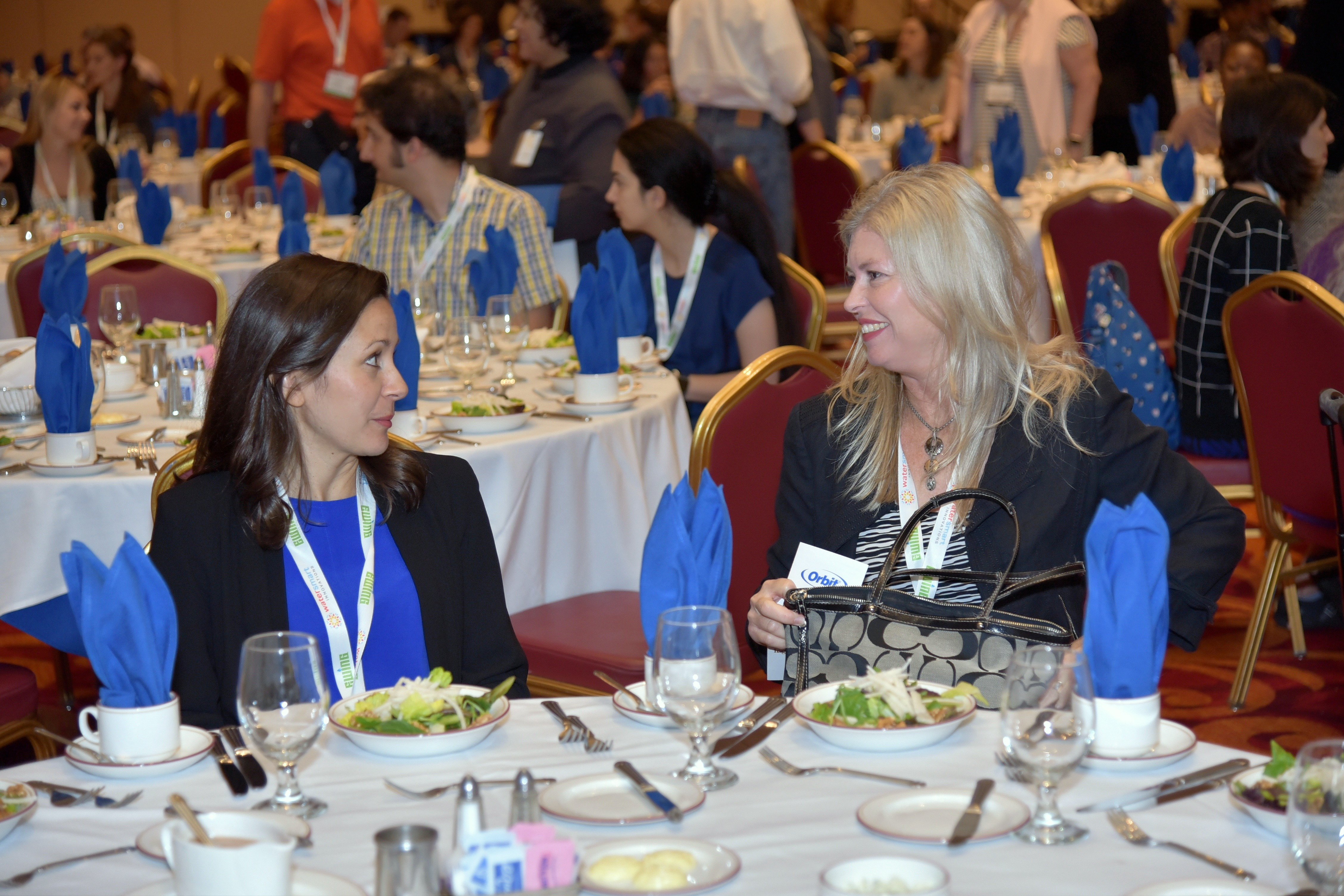 2018 WaterSense Awards Luncheon