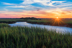 Sunset over wetlands