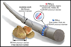 PM2.5 Scale Graphic