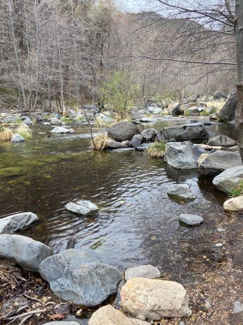 Photo of a stream.