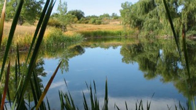 Rocky Mountain Arsenal