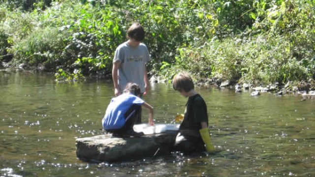 Volunteers sorting macroinvertebrates.