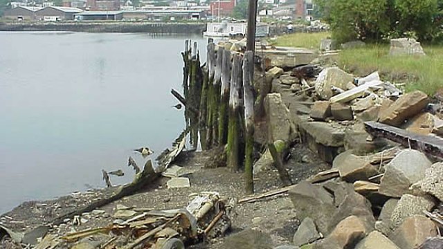 Site of the Condor Street Urban Wild before revitalization work began in 2002.