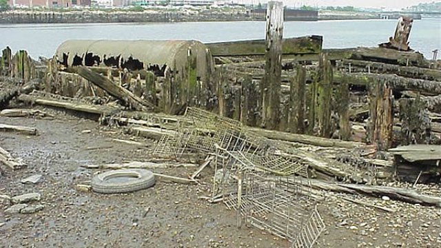 Site of the Condor Street Urban Wild before revitalization work began in 2002.