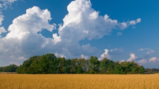 field and sky