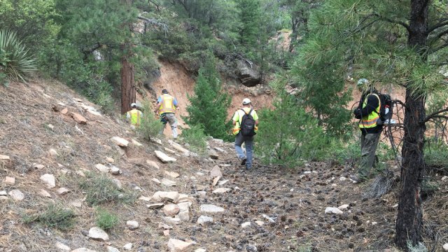 September Field Work at Cove