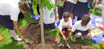 Environmental Justice in Your Community.