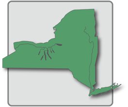 New York State