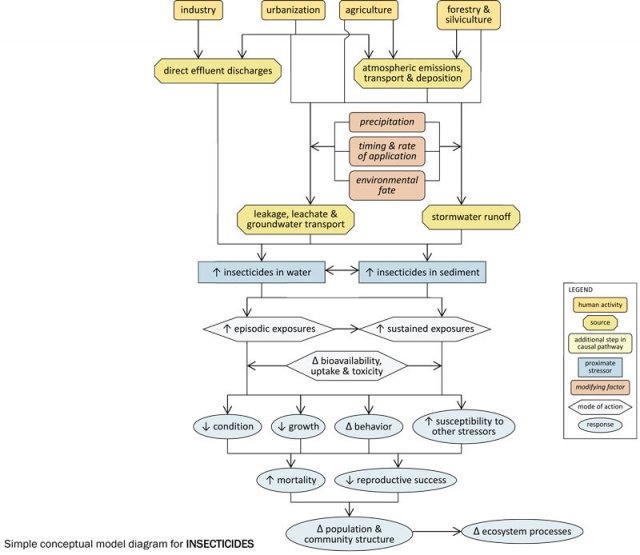 A simple conceptual diagram illustrating causal pathways, from sources to impairments, related to insecticides.  