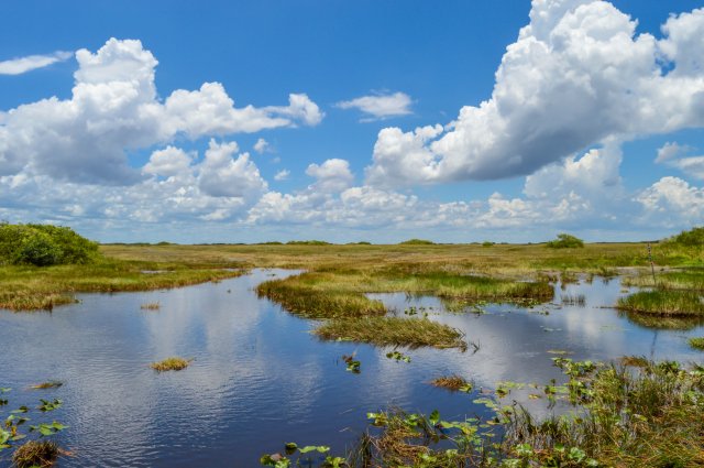 A beautiful sky over wetlands.