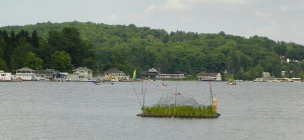 Harveys Lake with a floating wetland island.