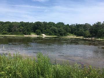 Photo of Estabrook Dam is the farthest downstream aquatic organism passage barrier on the Milwaukee River. 