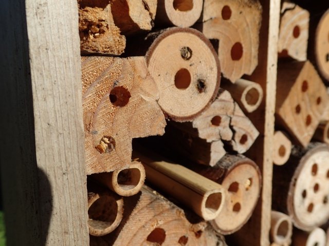 Mason Bee housing in the Corvallis, Oregon, Pollinator Garden.