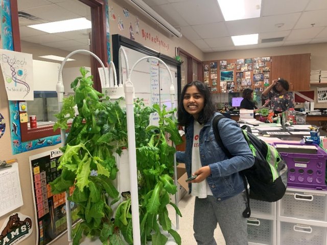 Nikita Bharati standing next to one of the many vertical gardens. 