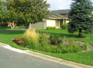 Side yard of a home with a rain garden.