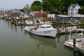 Water vessels, such as the boats at this dock, discharge pollution and can impact beach health.