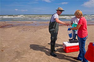 People participating in a beach monitoring event