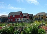 Community garden next to housing