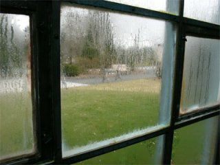 living room window