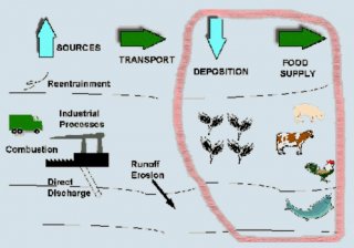 Exposure Backwards Approach to Dioxin Exposure