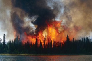 Wildfire and smoke next to a body of water