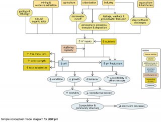 Snapshot of a simple conceptual model diagram for Low pH. 