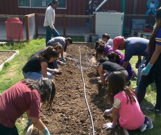 Children planting in community garden in Ajo, Arizona