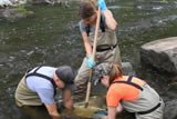 Macroinvertebrate sampling conducted in June 2012 (Housatonic River 1½ Mile)