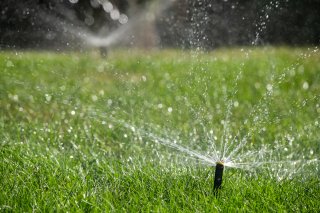 Sprinkler watering grass