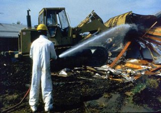 Love Canal Cleanup