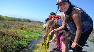 Kids with Wildlife Rangers Program 