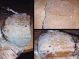 mold on bread