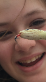 PEYA winner and water monitor examining a snake