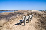 A scenic vista on Cape Cod