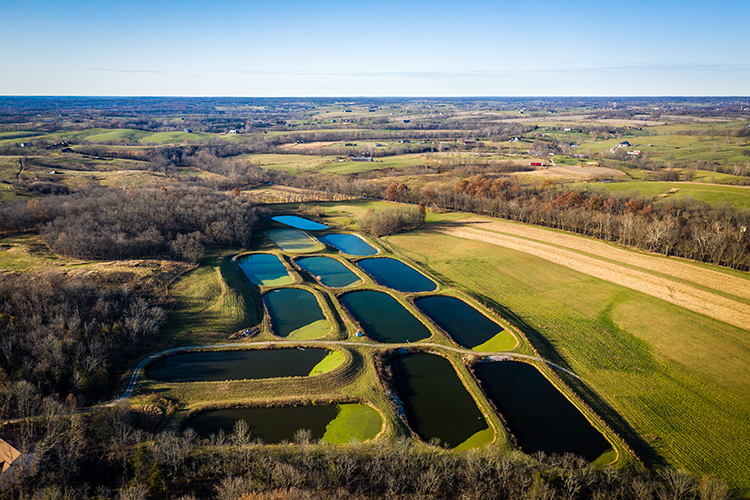 Picture of water treatment lagoons