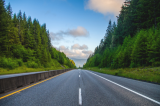 A road surrounded by trees