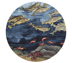 Painting of fish in the sea.