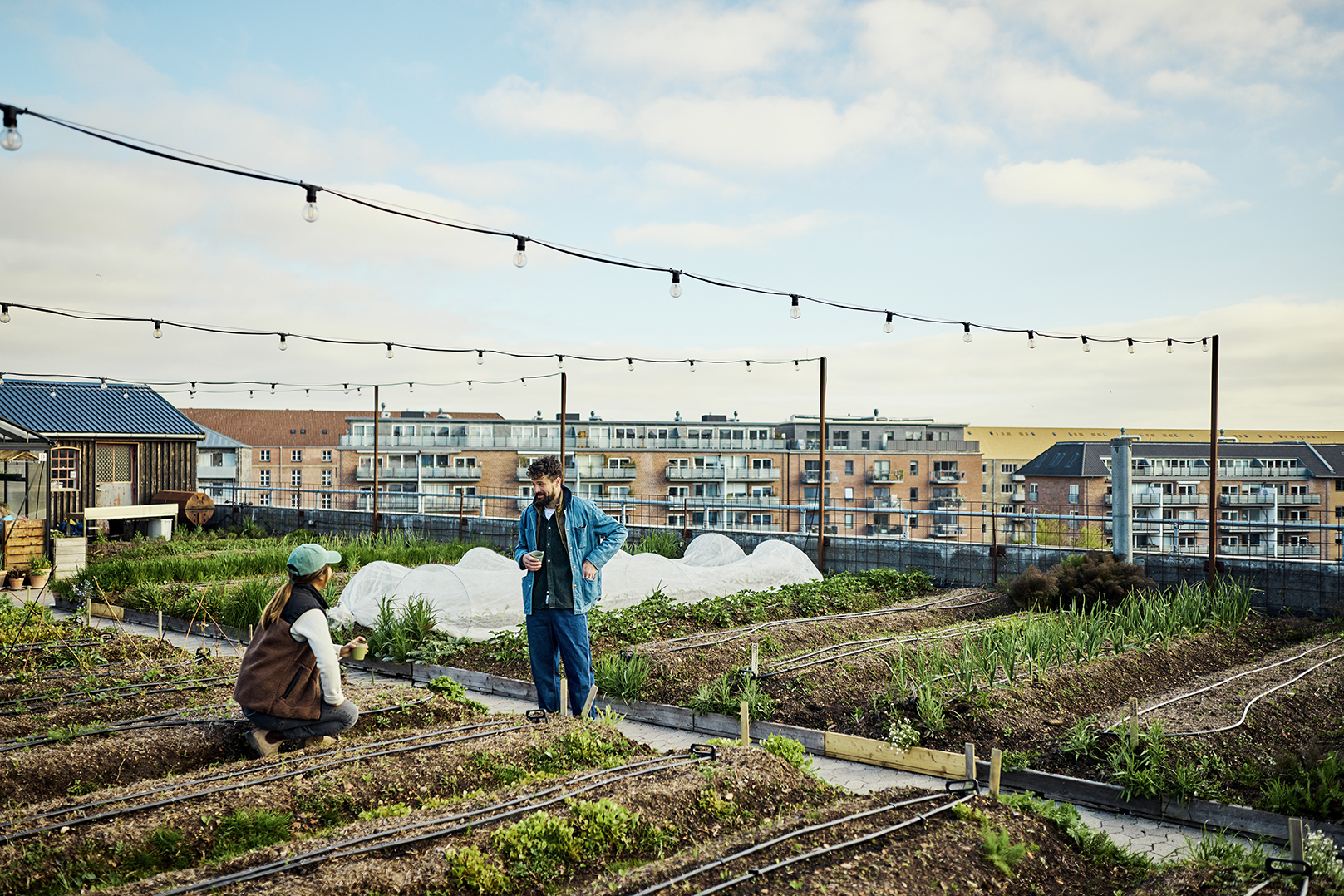 Green roof with two people talking to one another